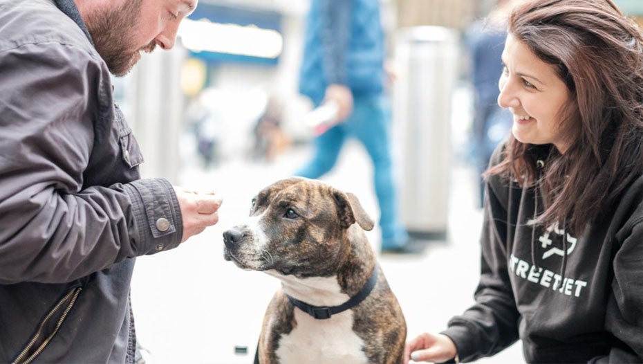 Opsøgende arbejde taler med hund på gaden