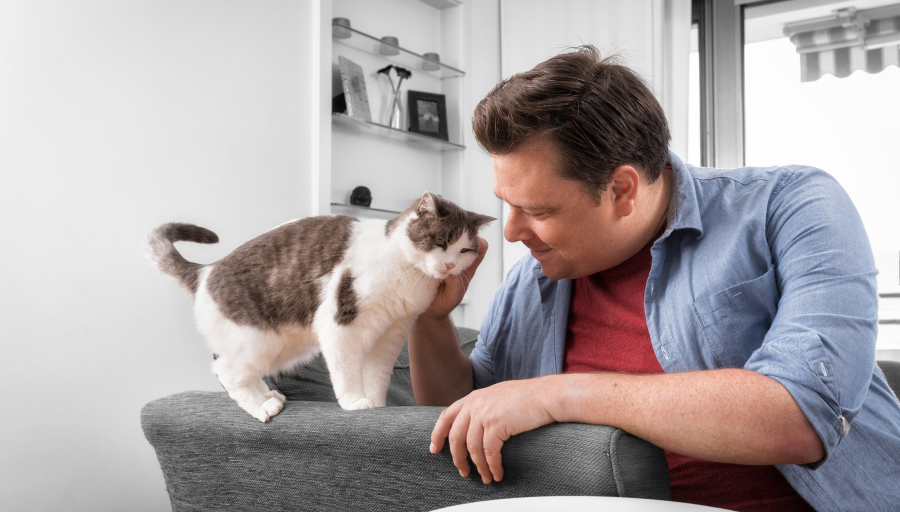 En mand stryger sin kats ansigt mens den står på armlænet af en sofa