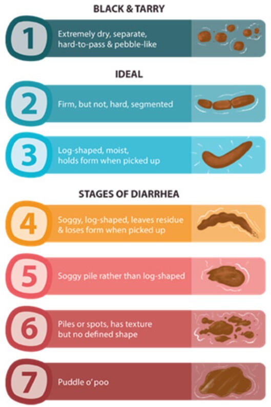 Dog Poop Consistency chart