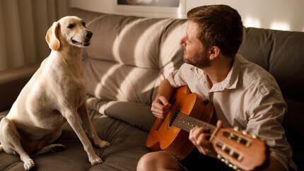 Hund lytter til ejeren spille guitar