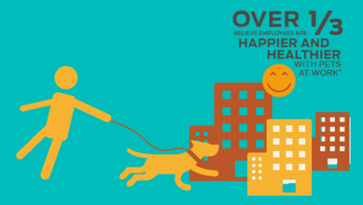 Over 1/3 mener, at medarbejdere er gladere og sundere med kæledyr på arbejdspladsen