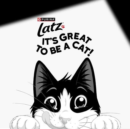 Felix cat Purina