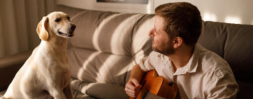 Hund lytter til ejeren spille guitar